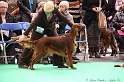 Crufts2011 311